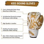 Gold 6oz Boxing Gloves for Training and Sparring