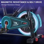 DMASUN Super Quiet Magnetic Indoor Exercise Bike
