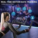 DMASUN Super Quiet Magnetic Indoor Exercise Bike