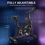 DMASUN Super Quiet Magnetic Indoor Exercise Bike