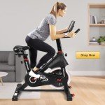 DMASUN Super Quiet Magnetic Indoor Exercise Bike