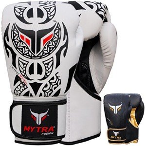 Mytra Fusion Kickboxing Gloves for Training
