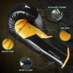 Mytra Fusion Boxing Gloves for Kickboxing & MMA