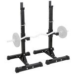 Adjustable Squat Rack and Bench Press Stand