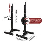 Adjustable Squat Rack and Bench Press Stand