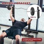 Adjustable Squat Rack and Bench Press Stand