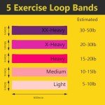 OZDEMIR 5-Level Resistance Bands with Carry Bag