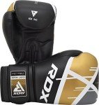 RDX EGO Boxing Gloves for Heavy Training