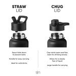 Insulated Stainless Steel Water Bottle with Straw
