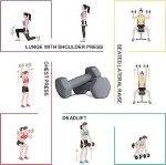 Balelinko 6LB Resistance Weights for Home Fitness