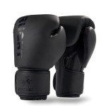 All Black 12 oz Boxing Gloves for Training