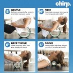 Chirp Wheel Back Stretcher Foam Roller Set