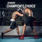 Xn8 Sports Boxing Gloves for All Fight Training