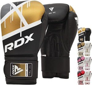 RDX EGO Boxing Gloves for Heavy Training