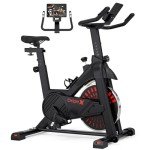 Dripex Quiet Magnetic Resistance Home Exercise Bike