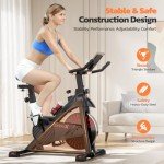 Dripex Quiet Magnetic Resistance Home Exercise Bike