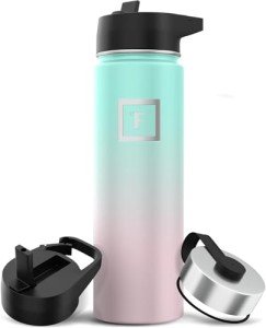 Insulated Stainless Steel Water Bottle with Straw