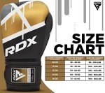 RDX EGO Boxing Gloves for Muay Thai Training