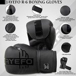 JAYEFO R-6 Boxing Gloves for Training & Sparring