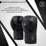 JAYEFO R-6 Boxing Gloves for Training & Sparring