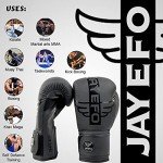 JAYEFO R-6 Boxing Gloves for Training & Sparring