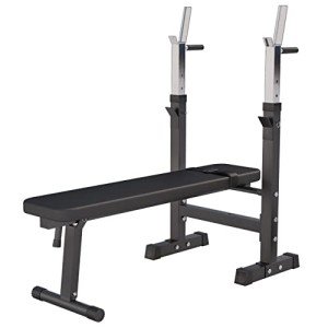 GORILLA SPORTS® Adjustable Weight Bench with Dip Station