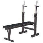 GORILLA SPORTS® Adjustable Weight Bench with Dip Station