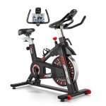 RIKSION Indoor Exercise Spin Bike with Tablet Stand
