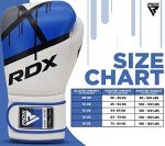 RDX EGO Boxing Gloves for Heavy Training
