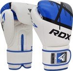 RDX EGO Boxing Gloves for Heavy Training