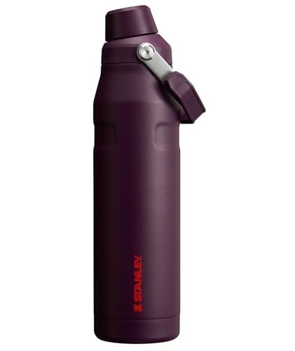Stanley 36 oz Insulated Water Bottle - Plum