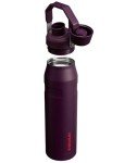 Stanley 36 oz Insulated Water Bottle - Plum