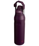Stanley 36 oz Insulated Water Bottle - Plum
