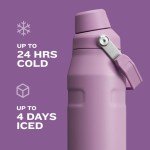 Stanley 36 oz Insulated Water Bottle - Plum