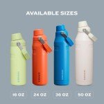 Stanley 36 oz Insulated Water Bottle - Plum