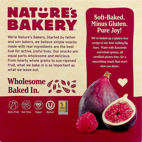 Raspberry Fig Bars by Nature's Bakery - 6 Pack