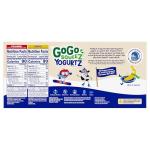 GoGo Squeez Yogurt Strawberry Banana Pack - 20 Pouches