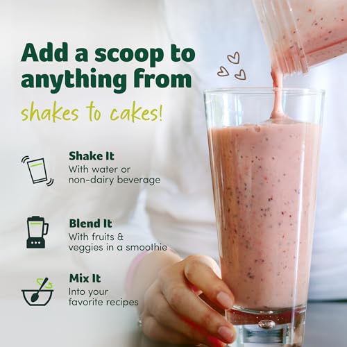 Creamy French Vanilla Plant-Based Protein Powder