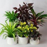 Pet-Friendly Indoor Plants in Ceramic Pots