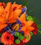 Joyful Fresh Flower Arrangements for Every Occasion