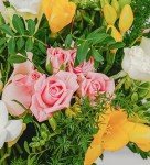 Rose and Freesia Fresh Floral Arrangement for Any Occasion