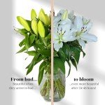 Elegant White Scented Lily Bouquet with Gift Card