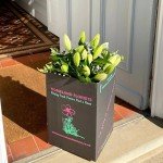 Elegant White Scented Lily Bouquet with Gift Card