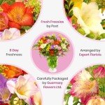 Fresh Freesia Bouquet - 30 Sweetly Scented Stems
