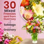 Fresh Freesia Bouquet - 30 Sweetly Scented Stems