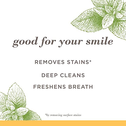 Burt's Bees Zen Peppermint Fluoride-Free Toothpaste - 3 Pack