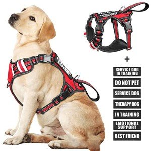 WINSEE No Pull Dog Harness with 7 Patches
