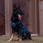 OneTigris Tactical Dog Harness - Breathable Mesh Vest