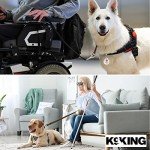 Double-Sided Service Dog ID Tag with Medical Symbol