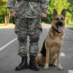 NORTIV 8 Men's Tactical Side Zipper Combat Boots